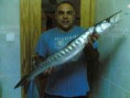 /album/fotogaleria/super-barracuda-2009-jpg/